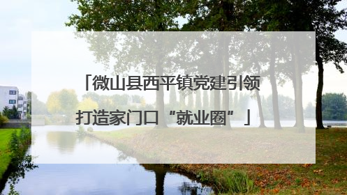 微山县西平镇党建引领打造家门口“就业圈”