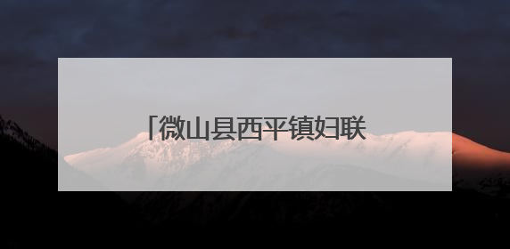 微山县西平镇妇联收获锦旗 “两癌”保险理赔解民忧