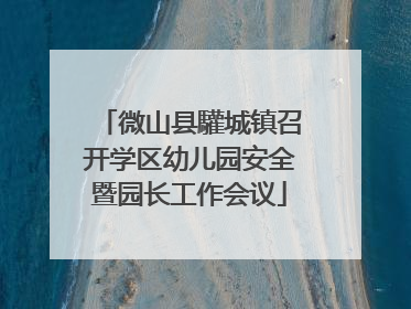 微山县驩城镇召开学区幼儿园安全暨园长工作会议