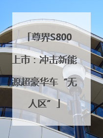 尊界S800上市：冲击新能源超豪华车“无人区”
