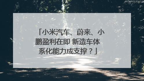 小米汽车、蔚来、小鹏盈利在即 新造车体系化能力成支撑？