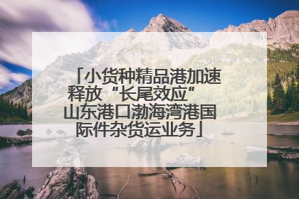 小货种精品港加速释放“长尾效应” 山东港口渤海湾港国际件杂货运业务