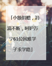 小额捐赠，涓滴不断，呵护万宁61位困难学子求学路