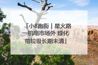 小8跑街｜星火路一机电市场外 绿化带垃圾长期未清