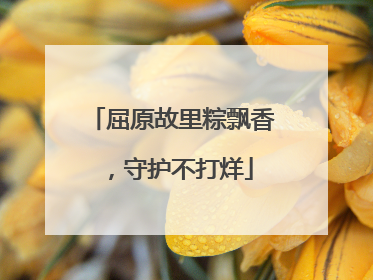 屈原故里粽飘香，守护不打烊