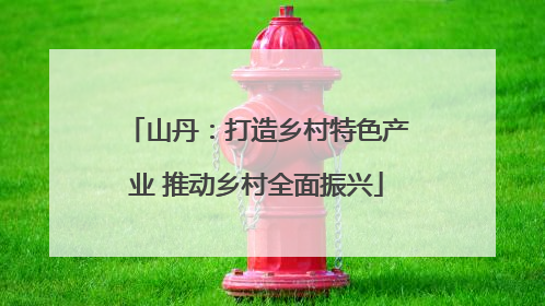山丹：打造乡村特色产业 推动乡村全面振兴