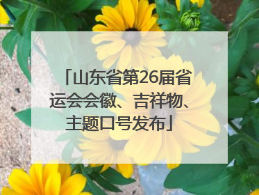 山东省第26届省运会会徽、吉祥物、主题口号发布