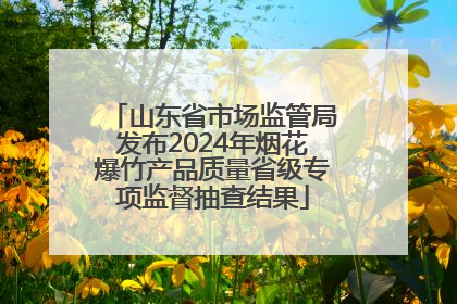 山东省市场监管局发布2024年烟花爆竹产品质量省级专项监督抽查结果