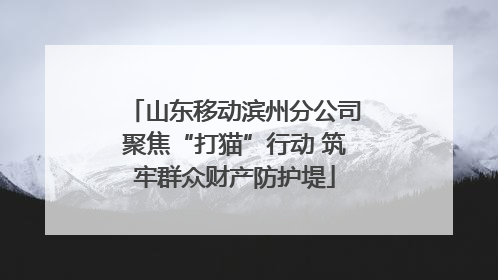 山东移动滨州分公司聚焦“打猫”行动 筑牢群众财产防护堤