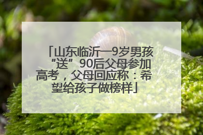 山东临沂一9岁男孩“送”90后父母参加高考，父母回应称：希望给孩子做榜样