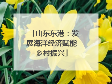 山东东港：发展海洋经济赋能乡村振兴