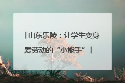 山东乐陵：让学生变身爱劳动的“小能手”