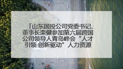 山东国投公司党委书记、董事长栾健参加第六届跨国公司领导人青岛峰会“人才引领 创新驱动”人力资源高质量发展对话会