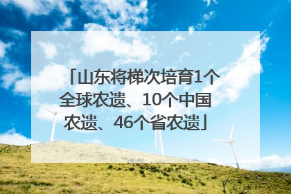 山东将梯次培育1个全球农遗、10个中国农遗、46个省农遗