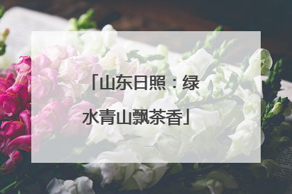 山东日照：绿水青山飘茶香