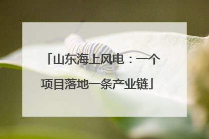 山东海上风电：一个项目落地一条产业链