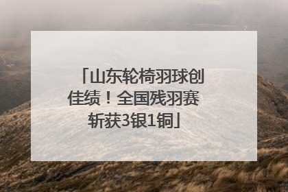山东轮椅羽球创佳绩！全国残羽赛斩获3银1铜