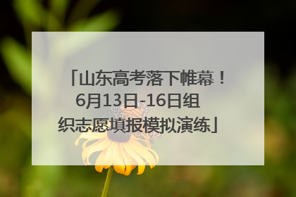 山东高考落下帷幕！6月13日-16日组织志愿填报模拟演练