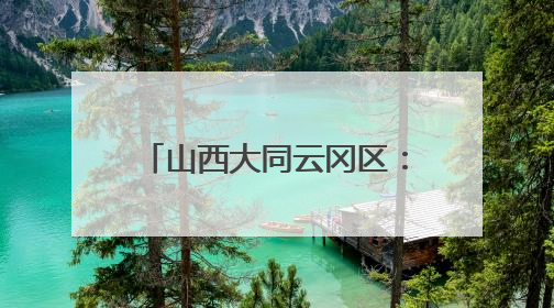 山西大同云冈区：特色优势产业催生农民“致富花”