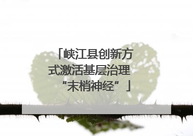峡江县创新方式激活基层治理“末梢神经”