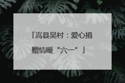 嵩县吴村：爱心捐赠情暖“六一”