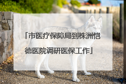 市医疗保障局到株洲恺德医院调研医保工作