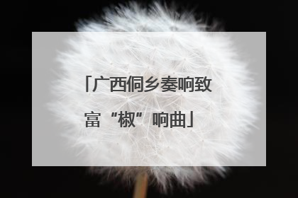 广西侗乡奏响致富“椒”响曲