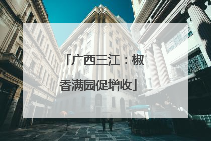 广西三江：椒香满园促增收