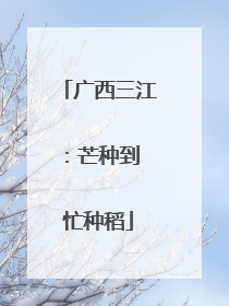 广西三江：芒种到 忙种稻