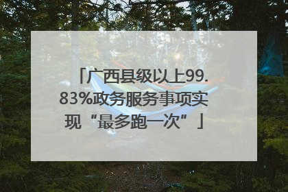 广西县级以上99.83%政务服务事项实现“最多跑一次”
