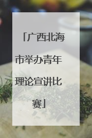 广西北海市举办青年理论宣讲比赛