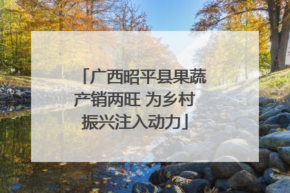 广西昭平县果蔬产销两旺 为乡村振兴注入动力