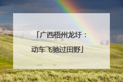 广西梧州龙圩：动车飞驰过田野