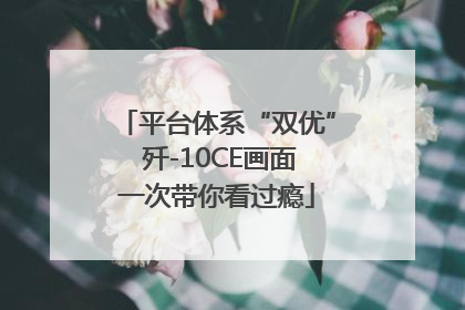 平台体系“双优” 歼-10CE画面一次带你看过瘾