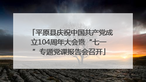 平原县庆祝中国共产党成立104周年大会暨“七一”专题党课报告会召开