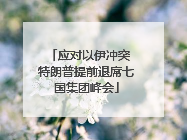 应对以伊冲突 特朗普提前退席七国集团峰会