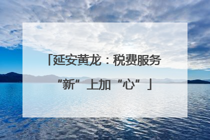 延安黄龙：税费服务“新”上加“心”