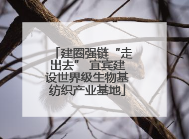 建圈强链“走出去” 宜宾建设世界级生物基纺织产业基地