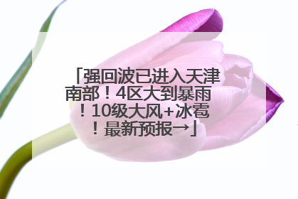 强回波已进入天津南部！4区大到暴雨！10级大风+冰雹！最新预报→