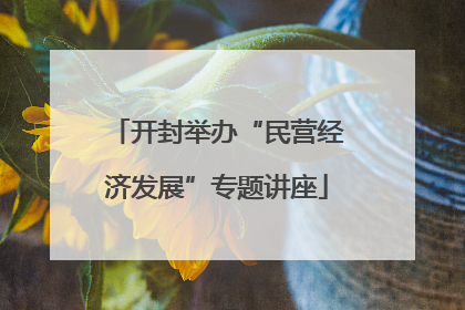 开封举办“民营经济发展”专题讲座