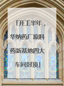 开工半年，华纳药厂原料药新基地四大车间封顶