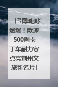 引擎咆哮燃爆！欧速500圈卡丁车耐力赛点亮荆州文旅新名片