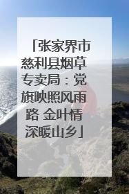 张家界市慈利县烟草专卖局：党旗映照风雨路 金叶情深暖山乡