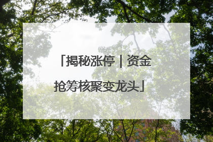揭秘涨停｜资金抢筹核聚变龙头