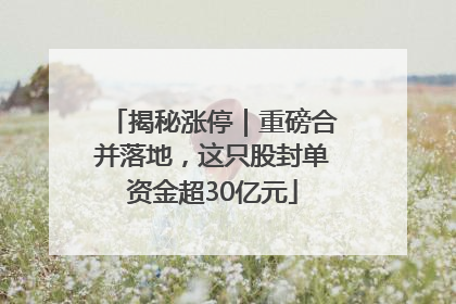 揭秘涨停｜重磅合并落地，这只股封单资金超30亿元