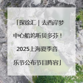 探徐汇｜去西岸梦中心船坞听贝多芬！2025上海夏季音乐节公布节目阵容