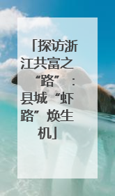 探访浙江共富之“路”：县城“虾路”焕生机