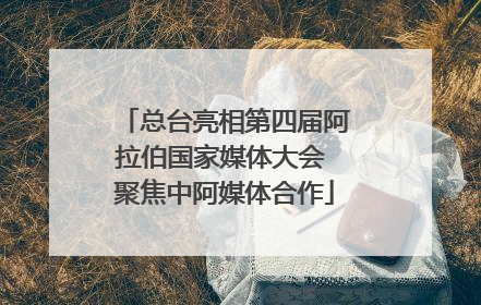 总台亮相第四届阿拉伯国家媒体大会 聚焦中阿媒体合作