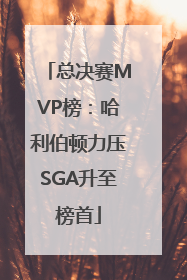 总决赛MVP榜：哈利伯顿力压SGA升至榜首