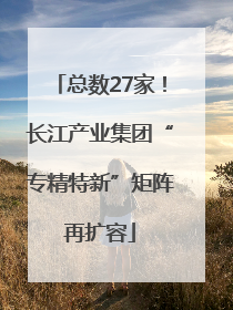 总数27家！长江产业集团“专精特新”矩阵再扩容